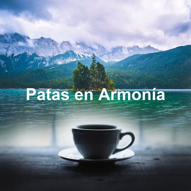 Patas en Armonía