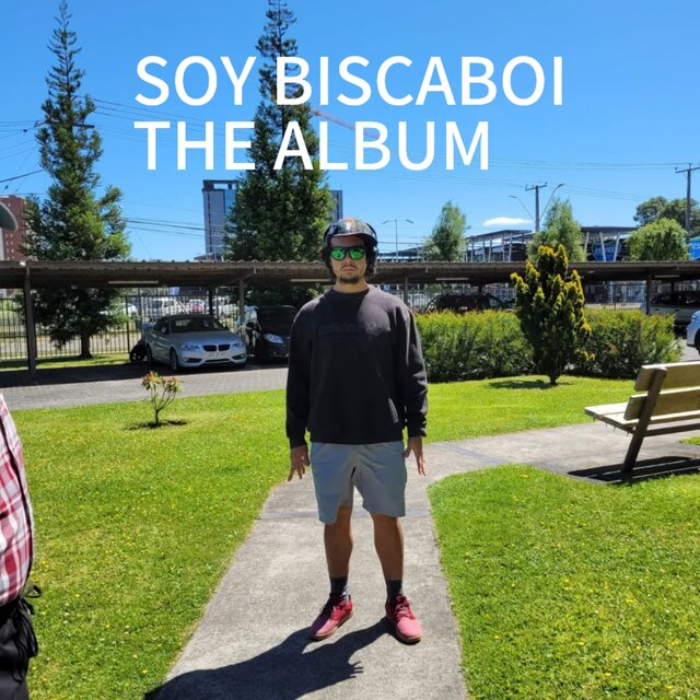 Soy biscaboi