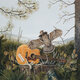 Cover art for album This Machine by The Dandy Warhols