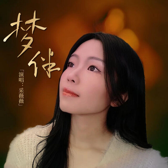 梦伴 (粤语DJ女声版)