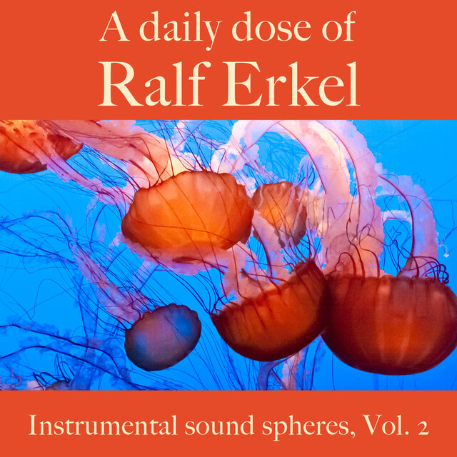A Daily Dose Of Ralf Erkel. Instrumental Sound Spheres, Vol.2