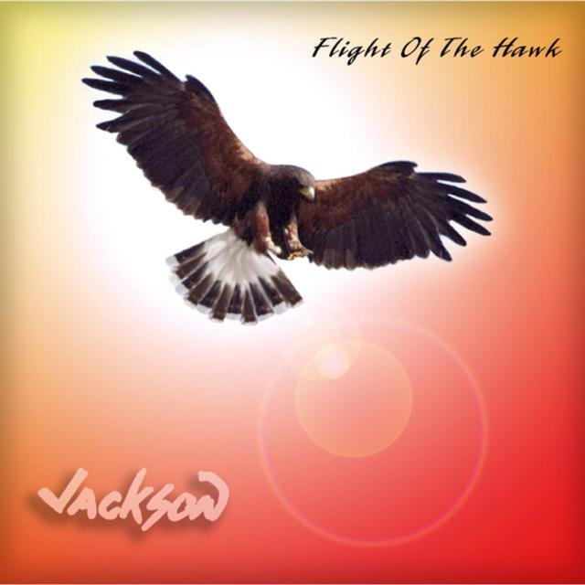 Flight of the Hawk