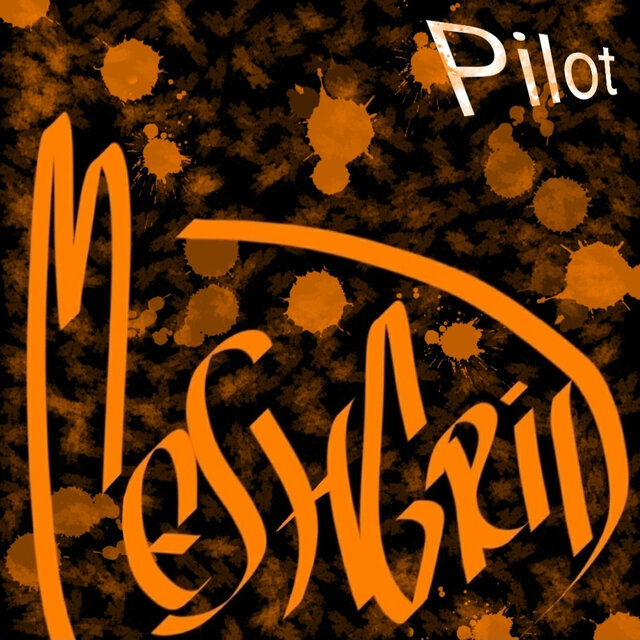 Pilot