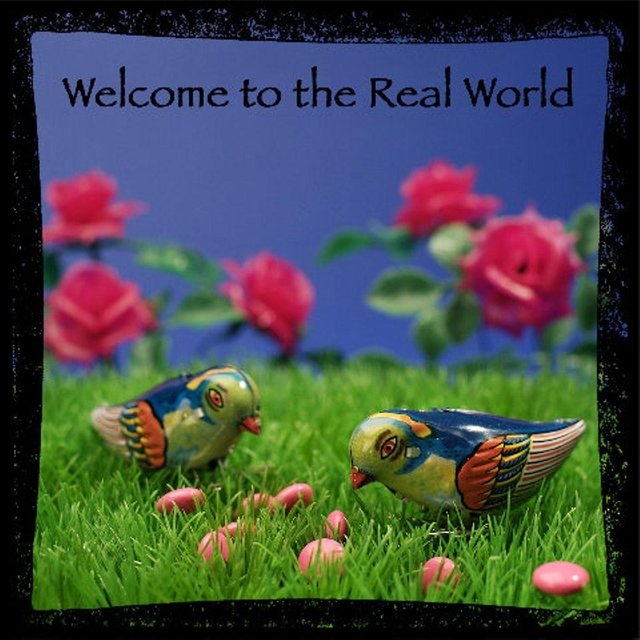 Welcome to the Real World
