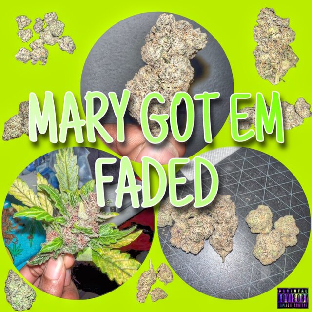 Mary Got Em Faded