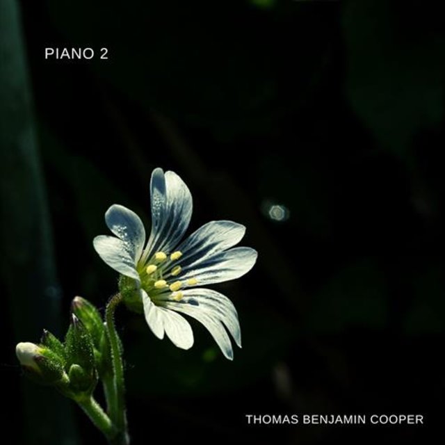 Piano 2