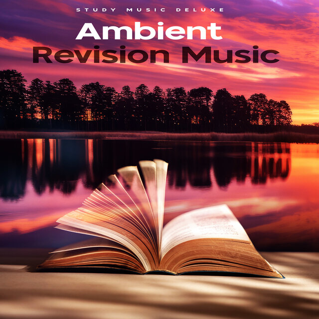 Ambient Revision Music