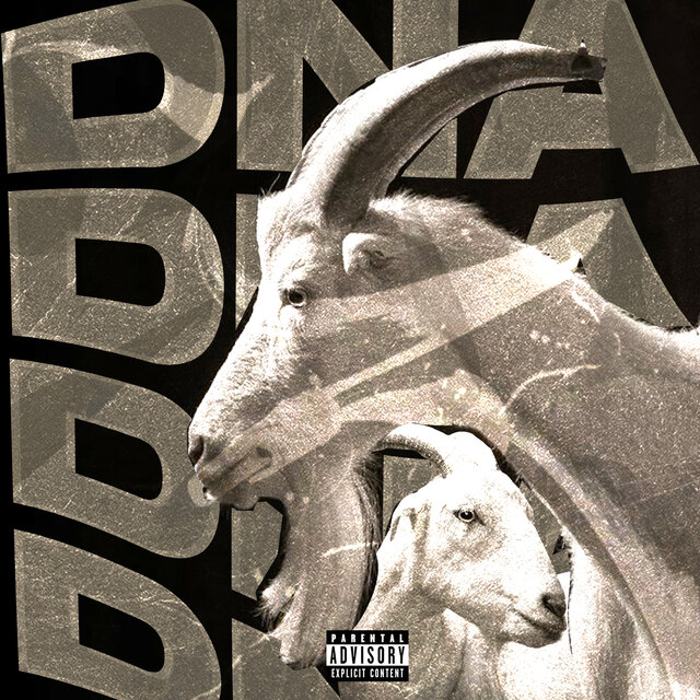 DNA DO BODE