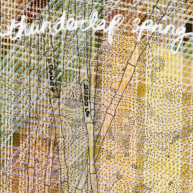 Thunderclap Spring