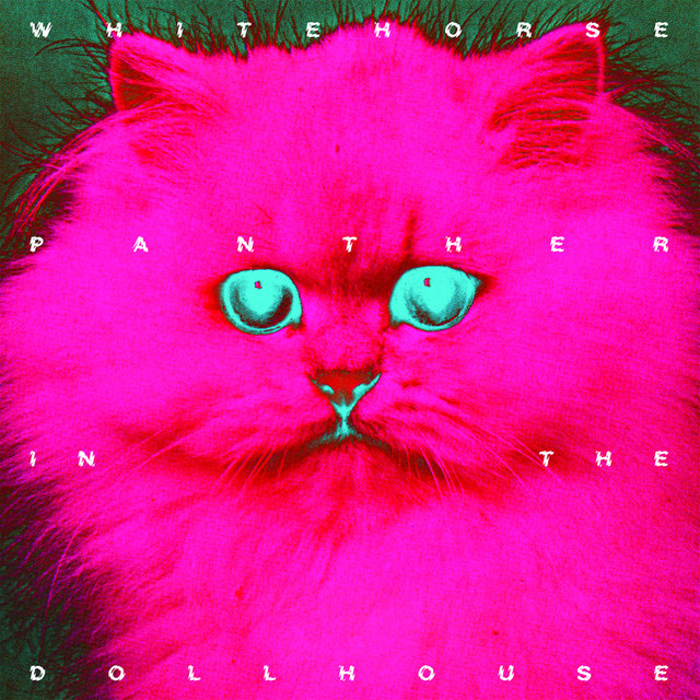 Panther in the Dollhouse