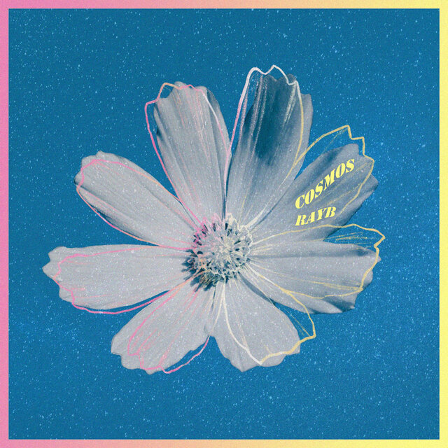 Cosmos