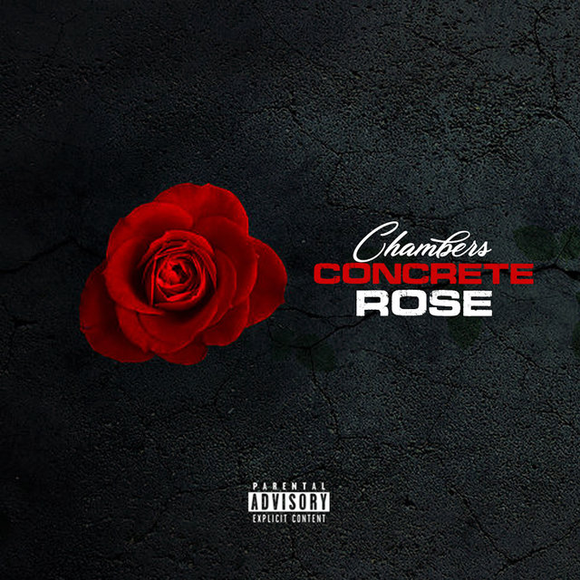 Concrete Rose