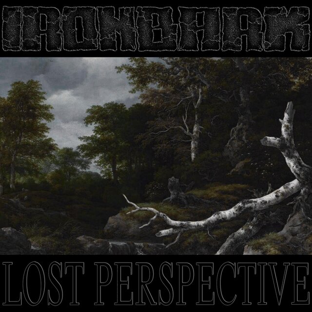 Lost Perspective