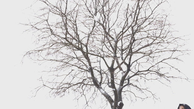 Hüzünlü Bekleyiş / Sad Waiting