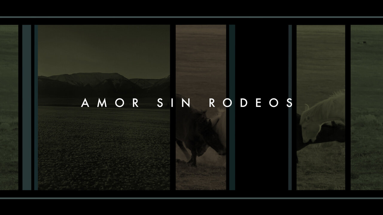 Amor Sin Rodeos (Official Visualizer)