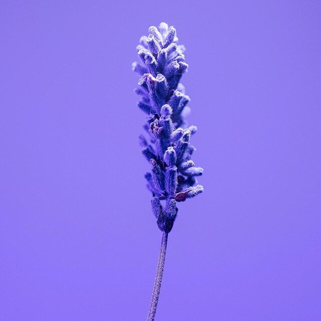 Younger And Hotter Than Me (Slow Piano Instrumental)