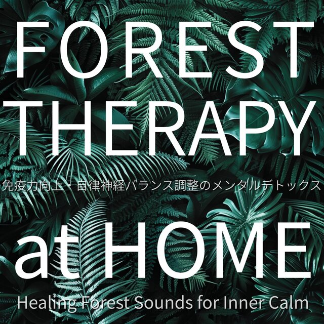 FOREST THERAPY at HOME ~ Healing Forest Sounds for Inner Calm