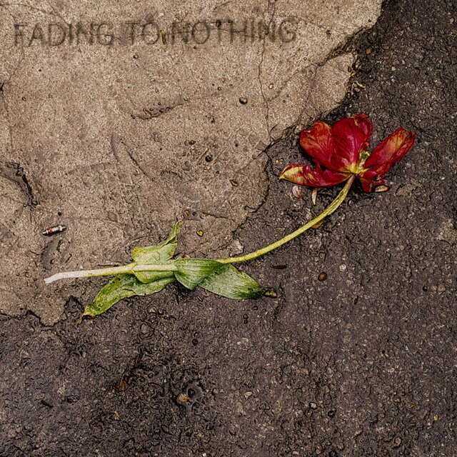 fading to nothing
