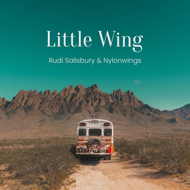 Little Wing
