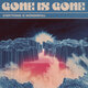 Cover art for album Everything Is Wonderfall by Gone Is Gone