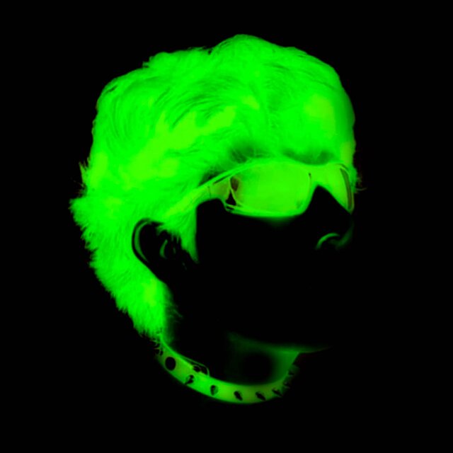 TOXITONA