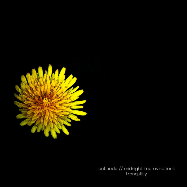 Midnight Improvisations // Tranquility