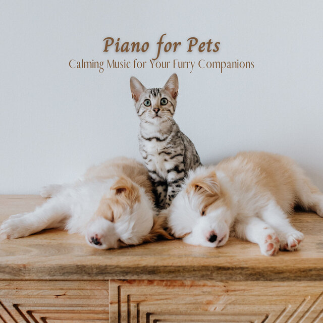 Piano for Pets: Calming Music for Your Furry Companions