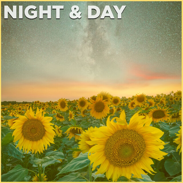 Night & Day