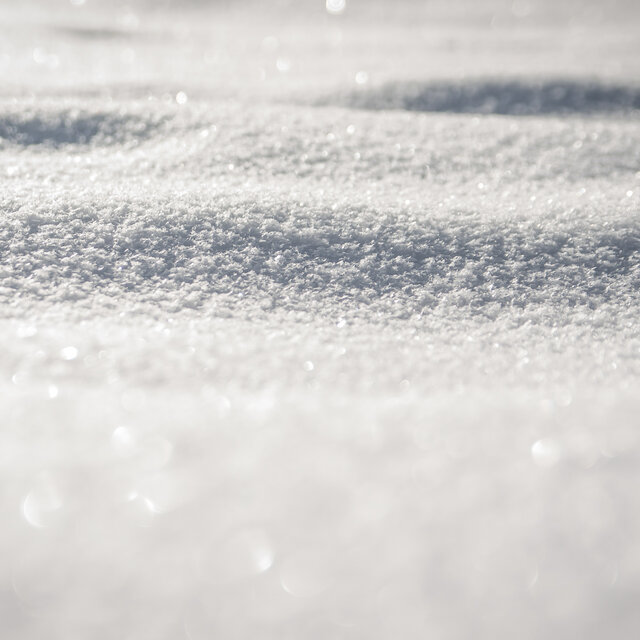 Winter Winter Winter Winter