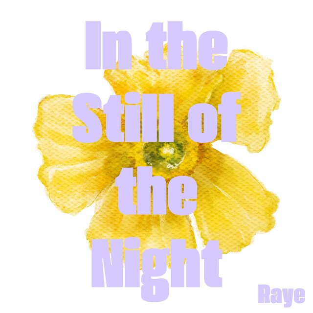 In The Still of the Night