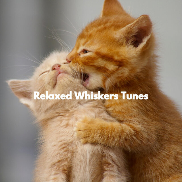 Relaxed Whiskers Tunes