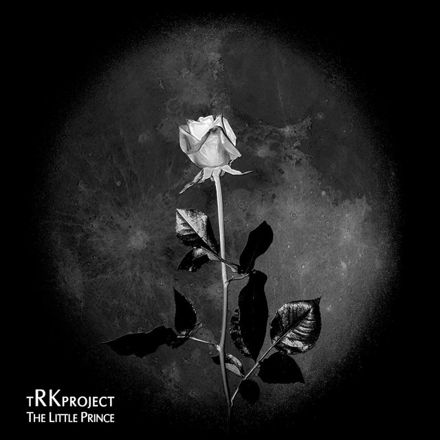 Cover art for album The Little Prince by tRKproject