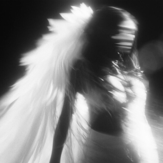 Fallen Angel