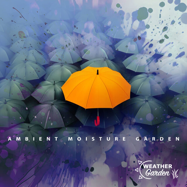 Ambient Moisture Garden