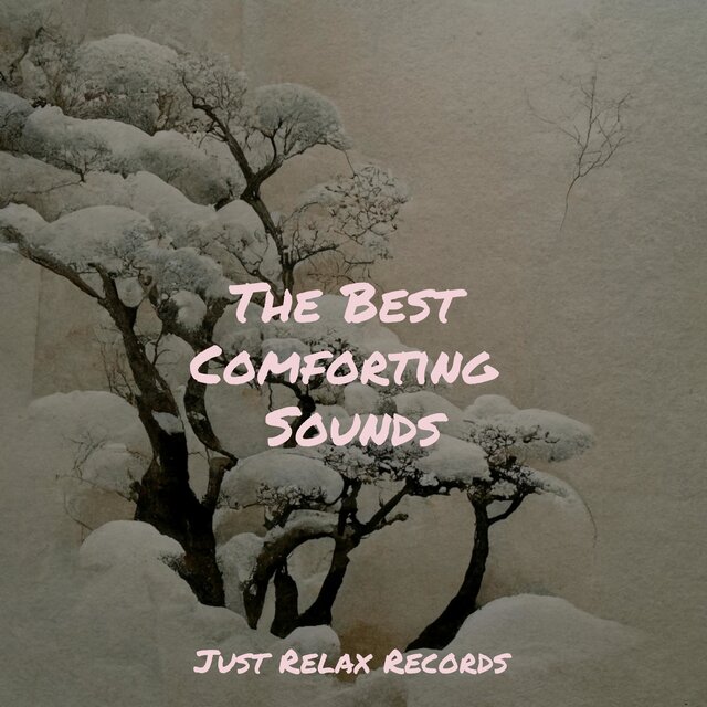 The Best Comforting Sounds