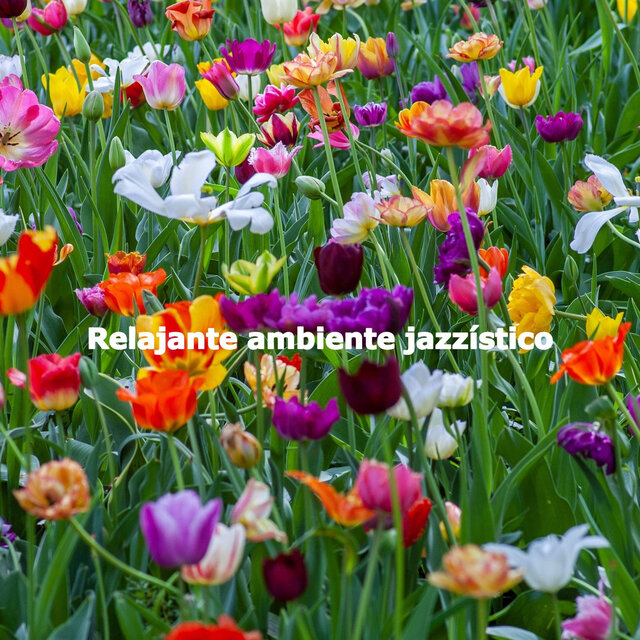 Relajante ambiente jazzístico