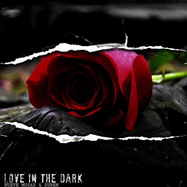 Love in the Dark