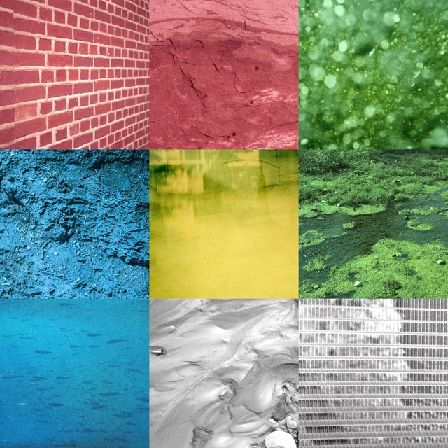 Protography