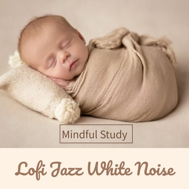 Mindful Study Lofi Jazz White Noise