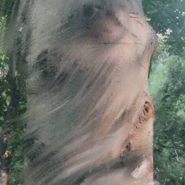 In the Sticks//Nightshade