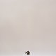 Cover art for album You Know How It Feels by Maverick Sabre