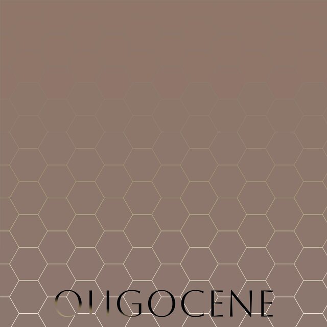 Oligocene