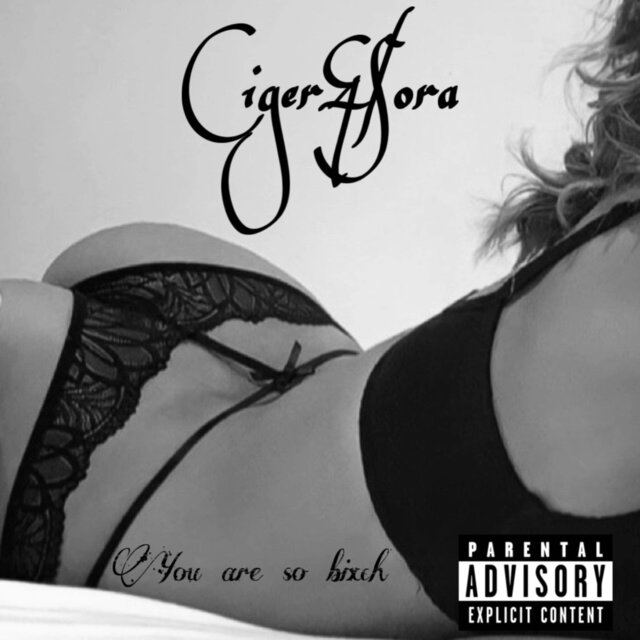 You are so bitch (Remix)