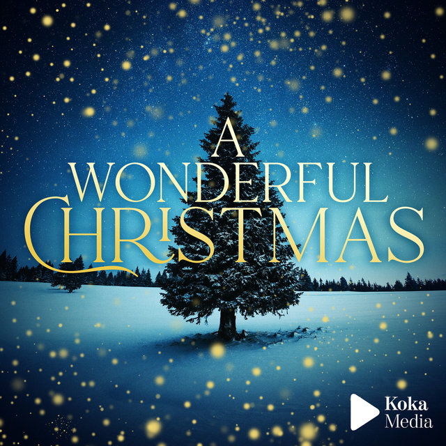 A Wonderful Christmas