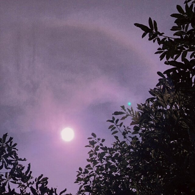 daylight.
