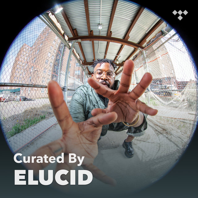Curated By: ELUCID
