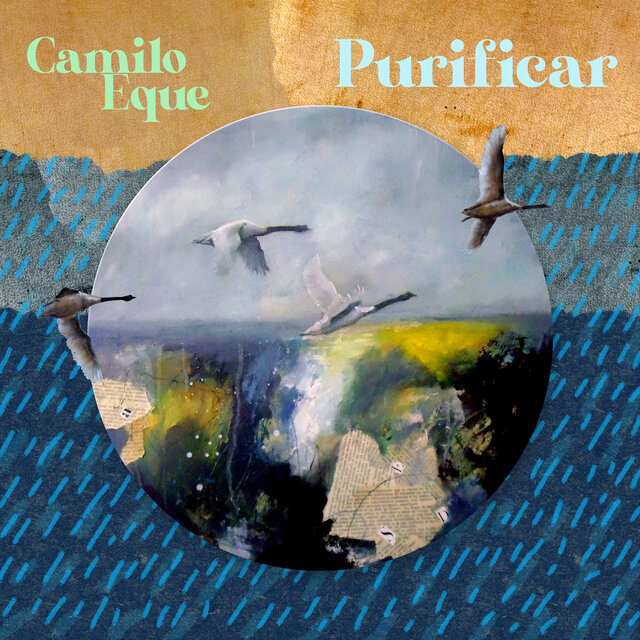 Purificar