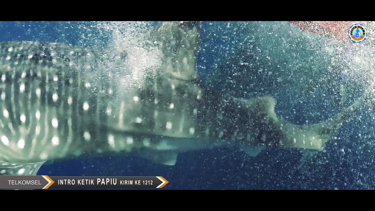Vicky Salamor - PAPUA (SURGA YANG TERSEMBUNYI) (Official Music Video)