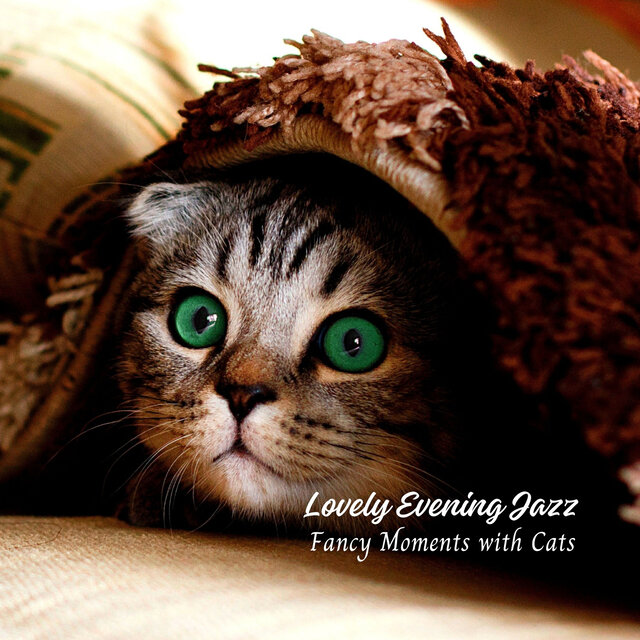 Lovely Evening Jazz: Fancy Moments with Cats