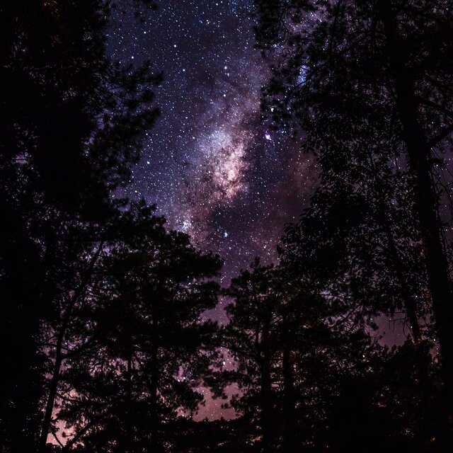 all i ever wanted was for you to hold my hand in the darkness